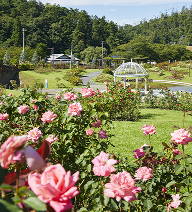 環境省 かおり風景100選認定 東沢バラ公園